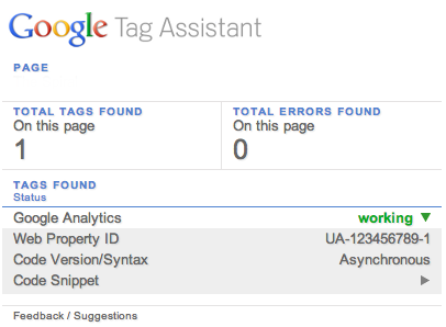 Google Tag Assistant ok